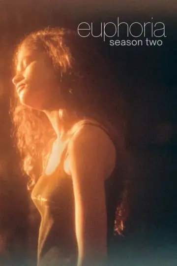Poster for the TV series "Euphoria" #1269247