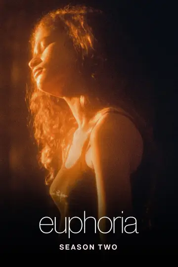 Poster for the TV series "Euphoria" #1269252