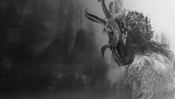 Backdrop for the TV series "Pagan Peak" #1463235