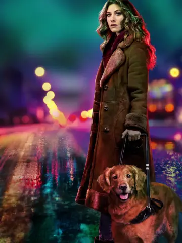 Poster for the TV series "In the Dark" #1421716