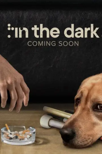 Poster for the TV series "In the Dark" #1421722