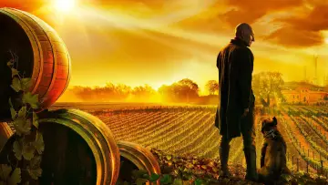 Backdrop for the TV series "Star Trek: Picard" #1319330