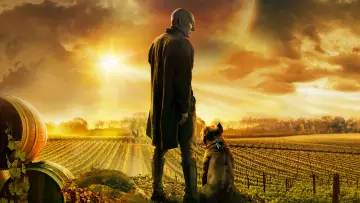 Backdrop for the TV series "Star Trek: Picard" #1319331