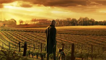 Backdrop for the TV series "Star Trek: Picard" #1319344