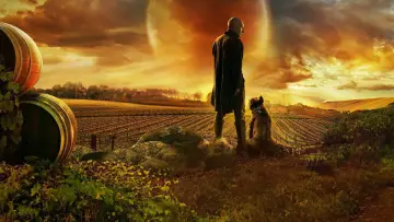 Backdrop for the TV series "Star Trek: Picard" #1319399