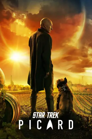 Poster for the TV series "Star Trek: Picard" #1319420