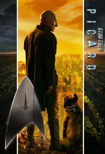 Poster for the TV series "Star Trek: Picard" #1319438