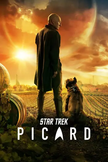 Poster for the TV series "Star Trek: Picard" #1319468