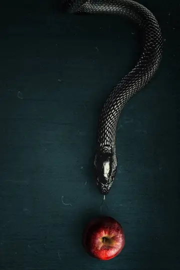 Poster for the TV series "Evil" #1321580