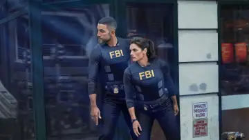 Backdrop for the TV series "FBI" #1248101