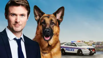 Backdrop к сериалу "Hudson & Rex" #1299452
