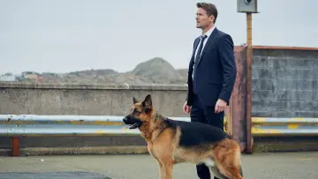 Backdrop к сериалу "Hudson & Rex" #1299472