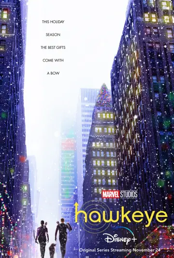 Poster for the TV series "Hawkeye" #1341783
