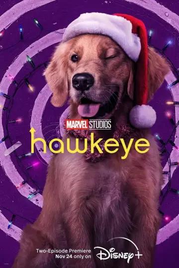 Poster for the TV series "Hawkeye" #1341789