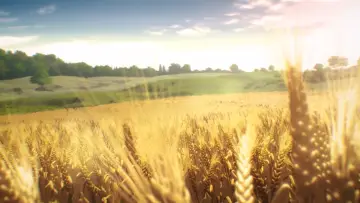Backdrop к сериалу "Vinland Saga" #1454763