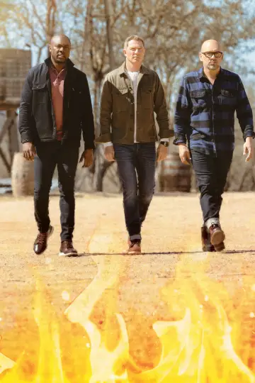 Poster for the TV series "BBQ Brawl" #1602603