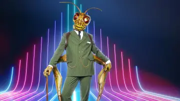 Backdrop for the TV series "The Masked Singer" #1654718