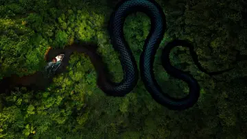Backdrop for the TV series "The Mosquito Coast" #1376329