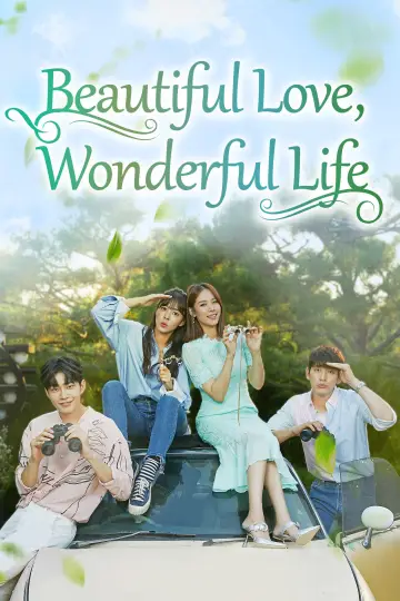 Beautiful Love, Wonderful Life poster