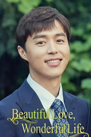 Poster for the TV series "Beautiful Love, Wonderful Life" #1660434