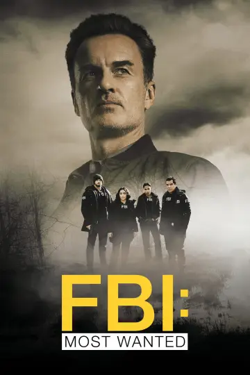 Poster for the TV series "FBI: Most Wanted" #1276101