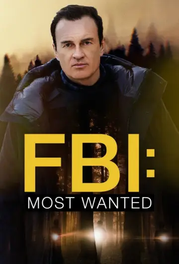 Poster for the TV series "FBI: Most Wanted" #1276113