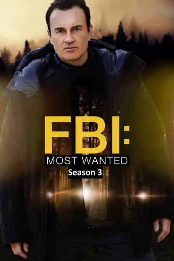 Poster for the TV series "FBI: Most Wanted" #1520309