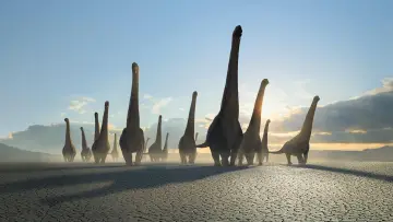 Backdrop for the TV series "Prehistoric Planet" #1366883