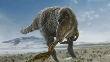 Backdrop for the TV series "Prehistoric Planet" #1366888