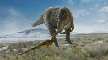 Backdrop for the TV series "Prehistoric Planet" #1366889