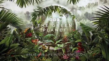 Backdrop for the TV series "The Green Planet" #1602818