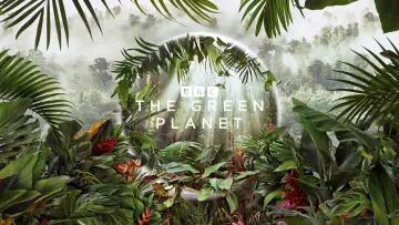 Backdrop for the TV series "The Green Planet" #1602821