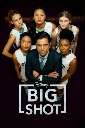 Poster for the TV series "Big Shot" #1442480