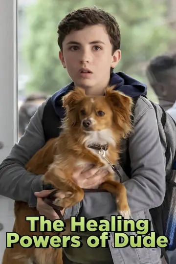 Poster for the TV series "The Healing Powers of Dude" #1466740