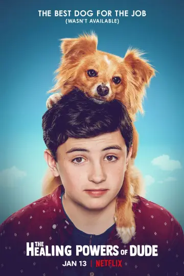 Poster for the TV series "The Healing Powers of Dude" #1466741