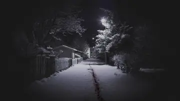 Backdrop for the TV series "The Valhalla Murders" #1449837