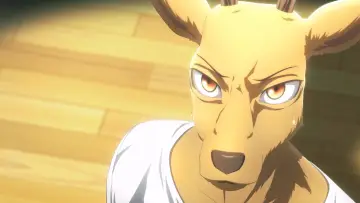 Backdrop for the TV series "BEASTARS" #1341583