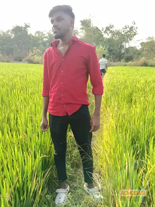Mithun  Mithun photo №2363. Uploaded June 30 2026
